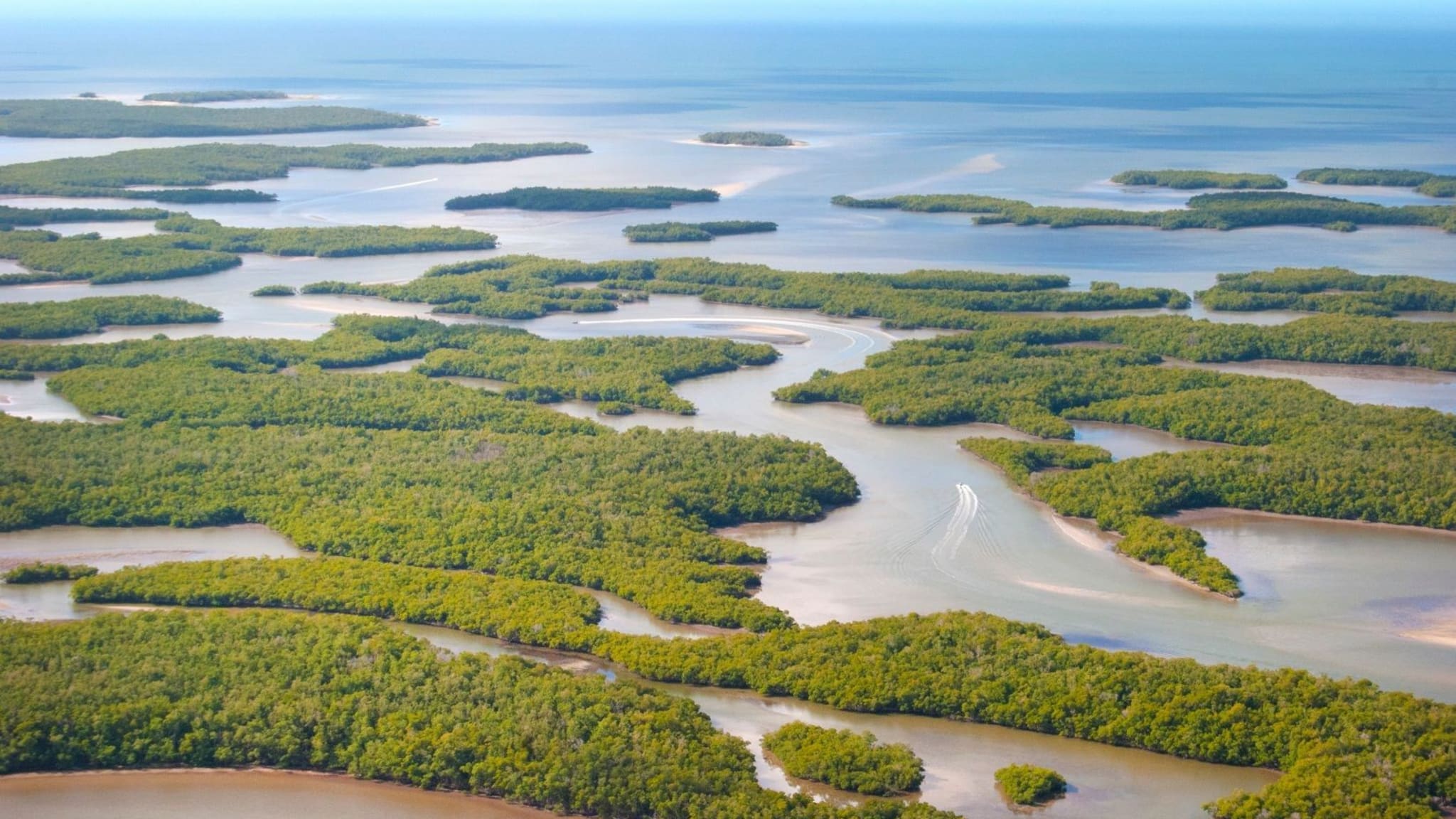 Ten Thousand Islands