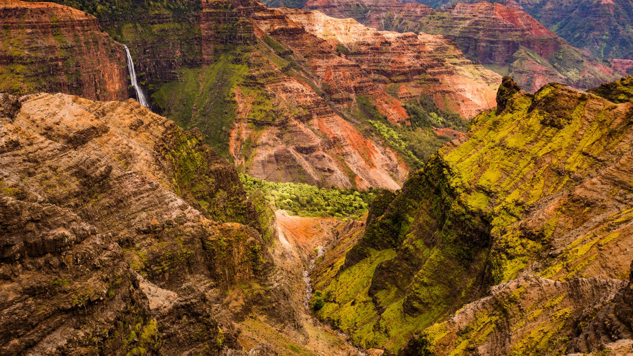 Hawaii Urlaub 2024/2025 • Günstig buchen bei HolidayCheck