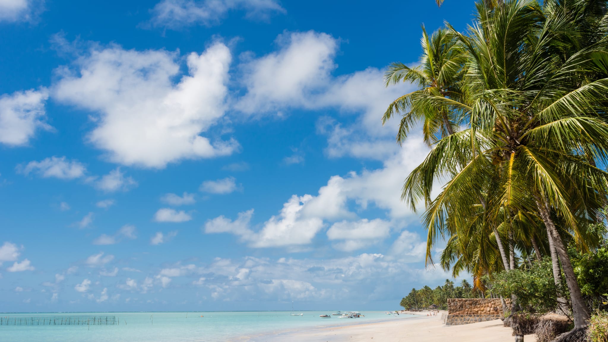 Landschaft mit tropischen Strand Kokospalme Bäume Türkis Meer blauer Himmel, weiße sand