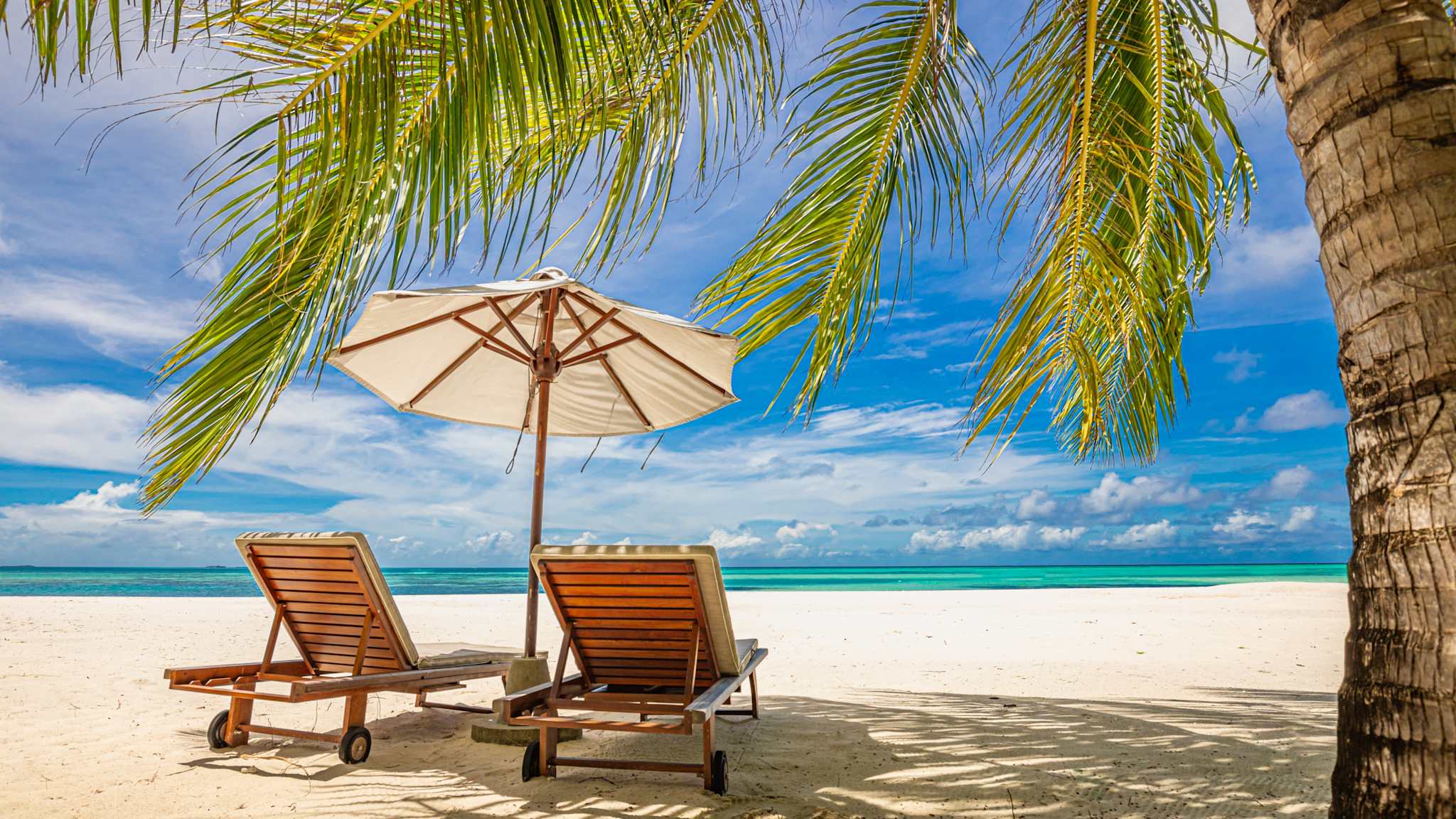 Sonnenliegen mit Schirm unter einer Palme direkt am Meer © Shutterstock