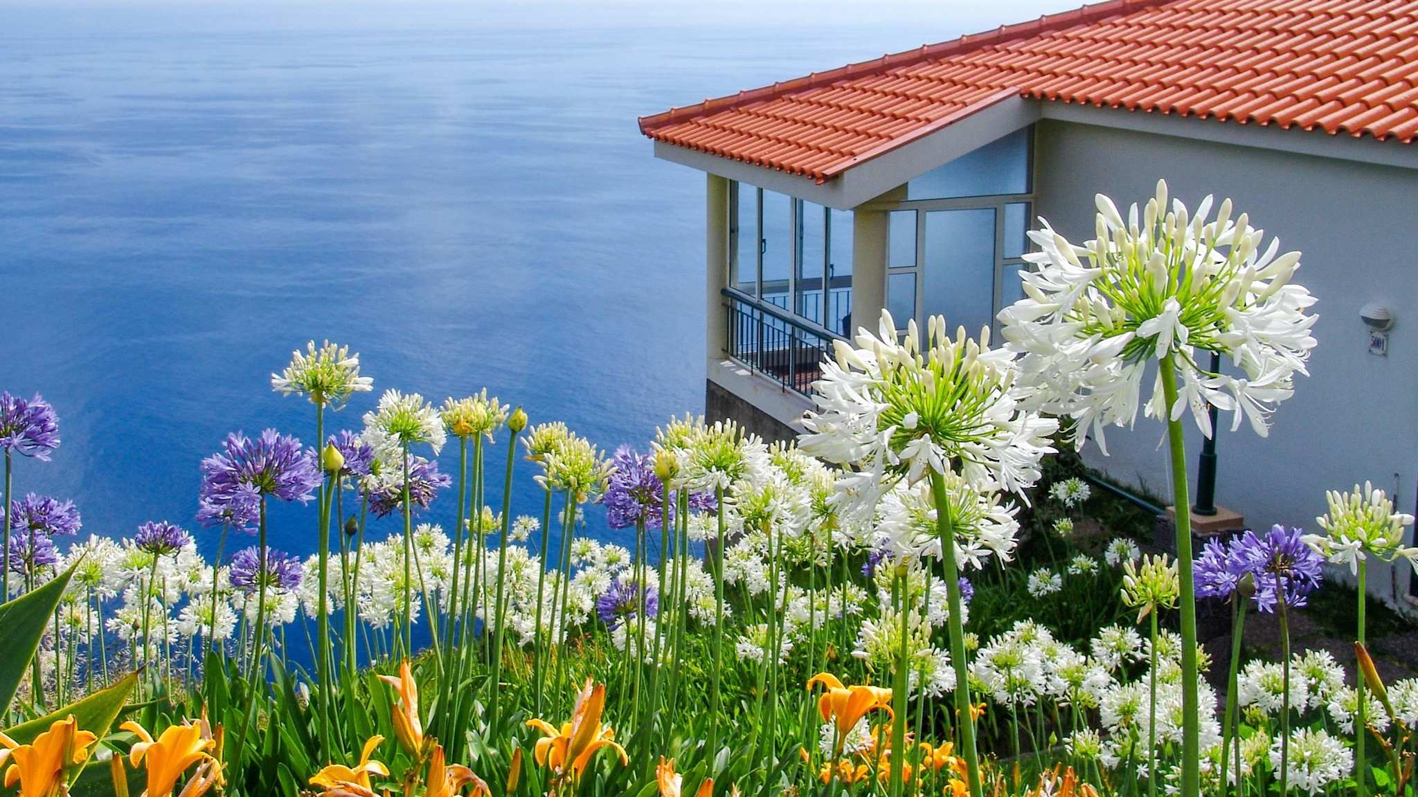 Ausblick auf das  Meer © Hotel Jardim Atlantico