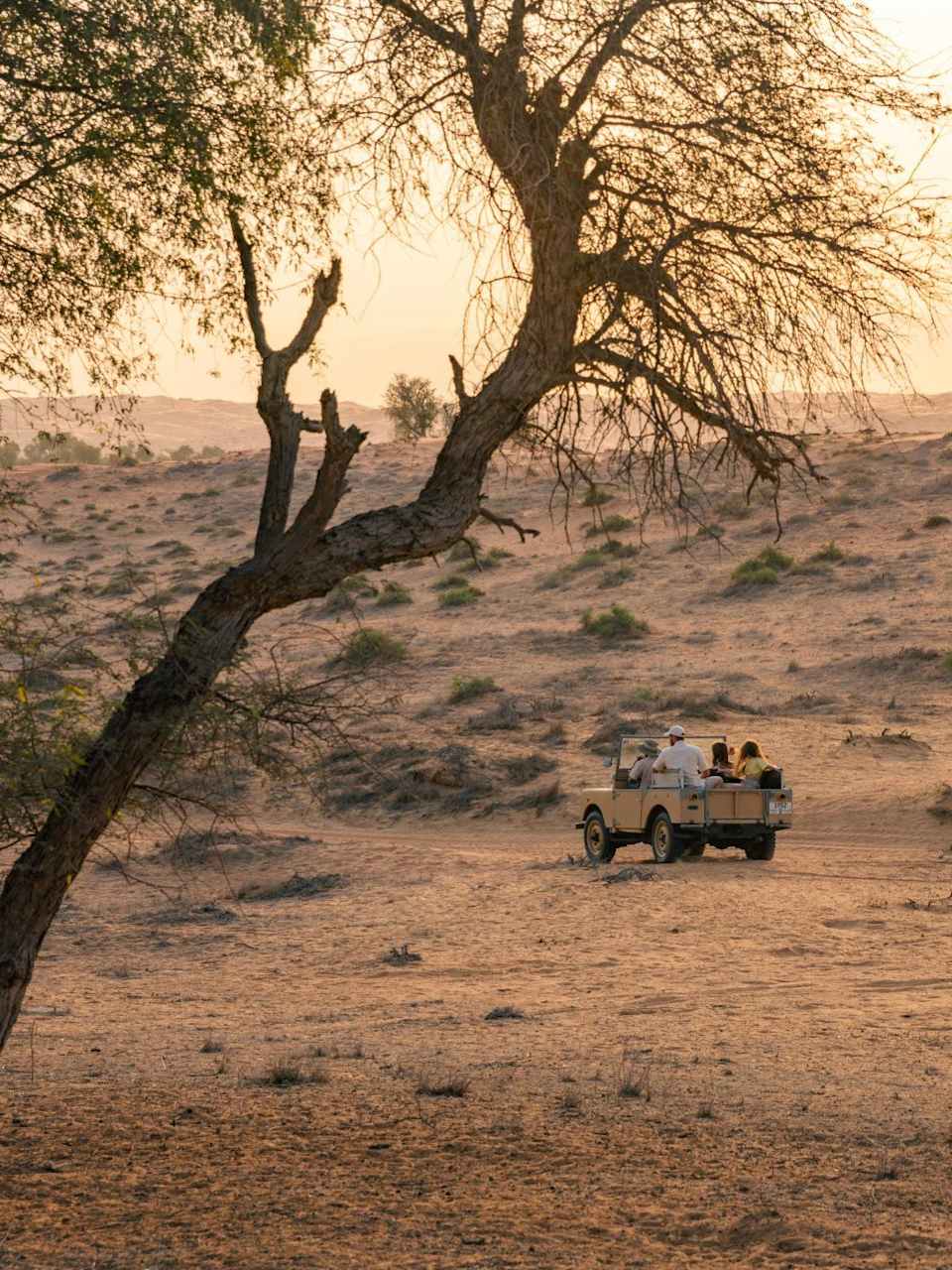 Wüstesafari, Ras Al Khaimah © Ras Al Khaimah Tourismus