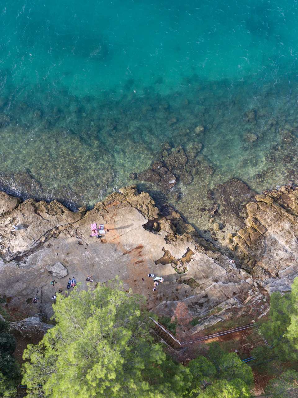 Ein Strand umgeben von Bäumen