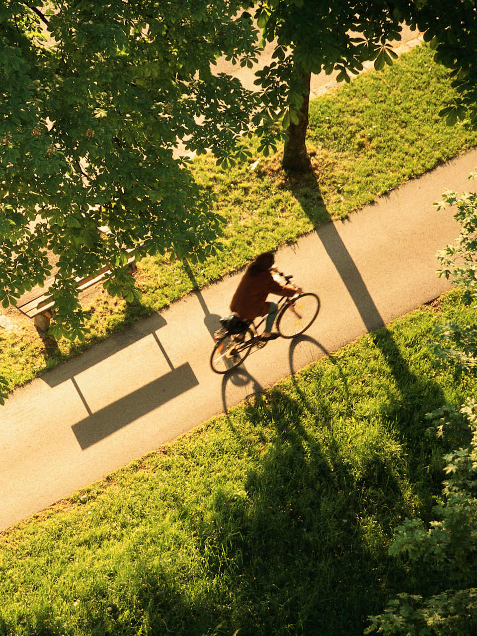 Frau fährt auf einem Radweg © Dennis Degnan/The Image Bank via Getty Images
