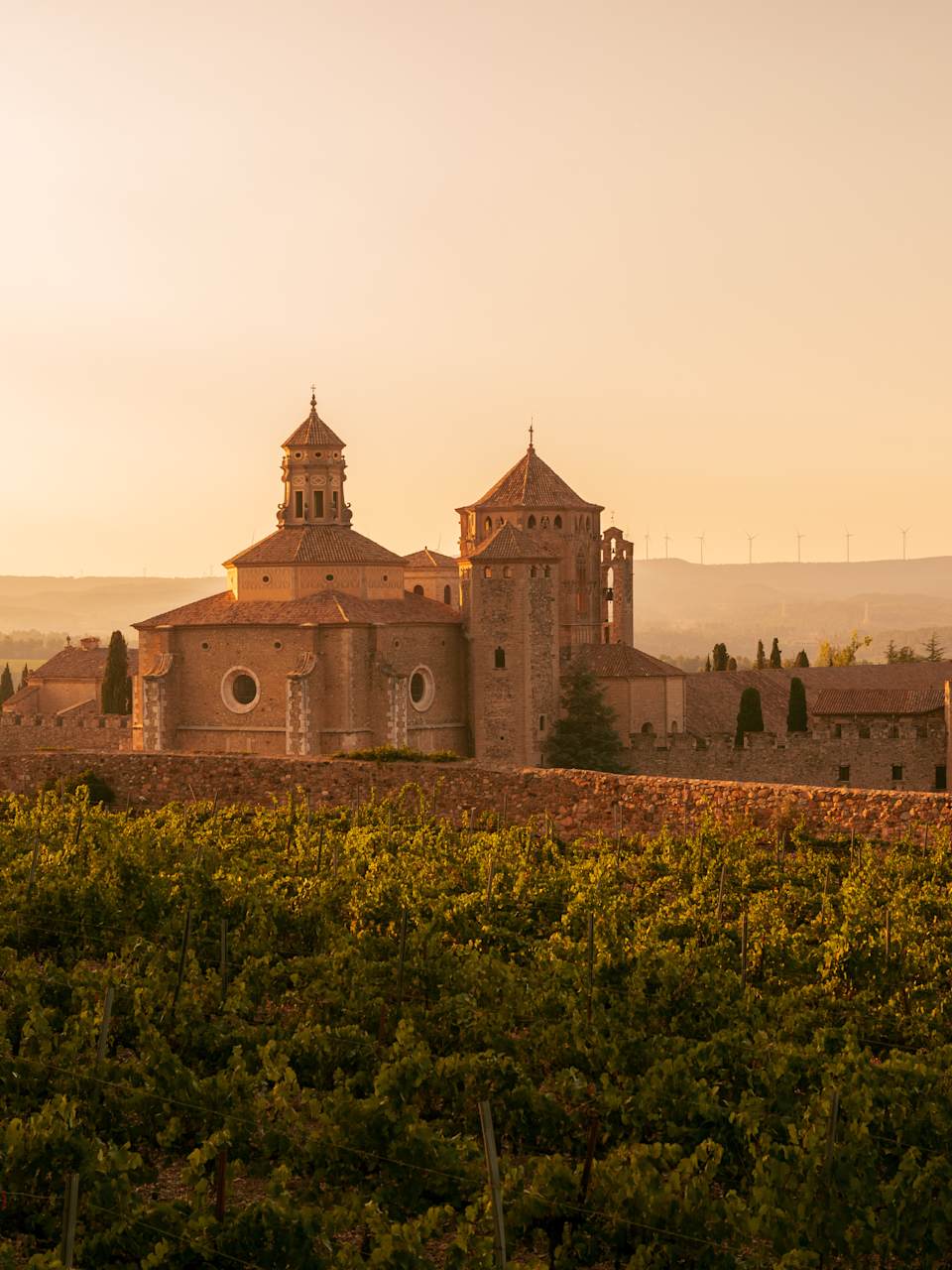 Das Kloster Santa Maria de Poblet in der Morgensonne © stock.adobe.com - Rubende Antonio