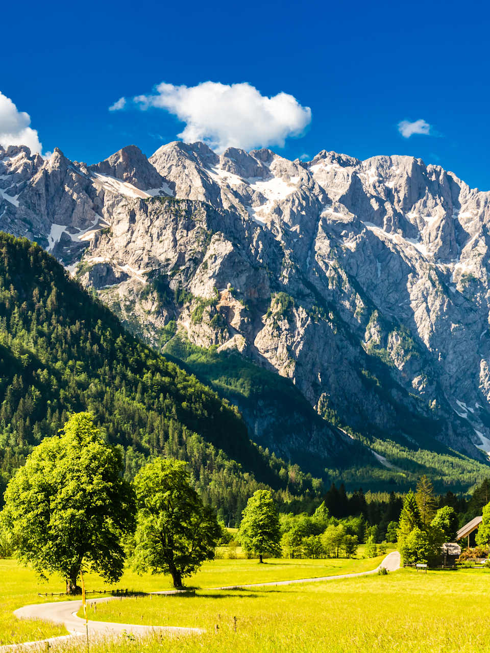 Logar-Tal oder Logarska dolina in den slowenischen Alpen © iStock.com/StreetFlash
