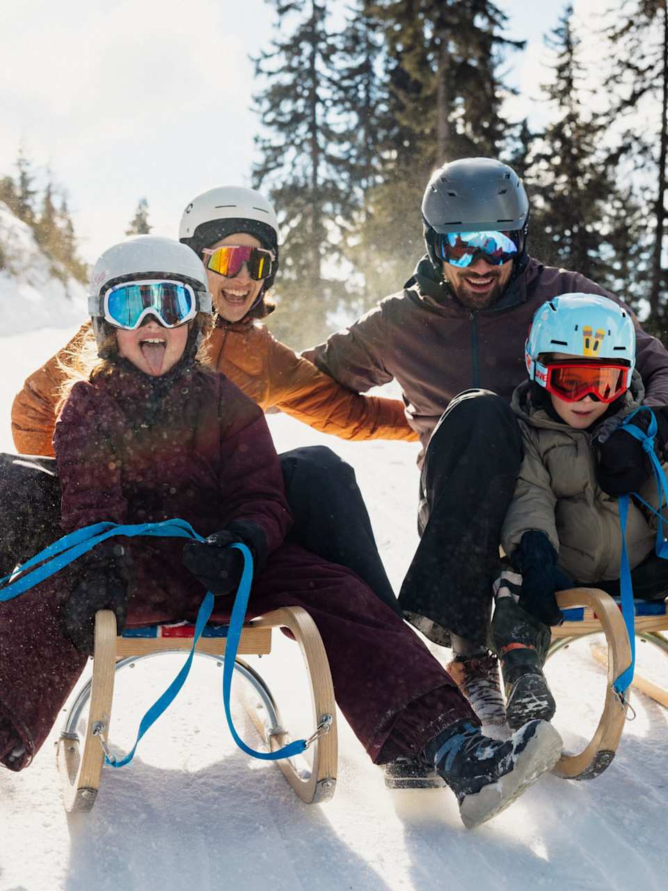 Bild von Familie auf Schlitten.