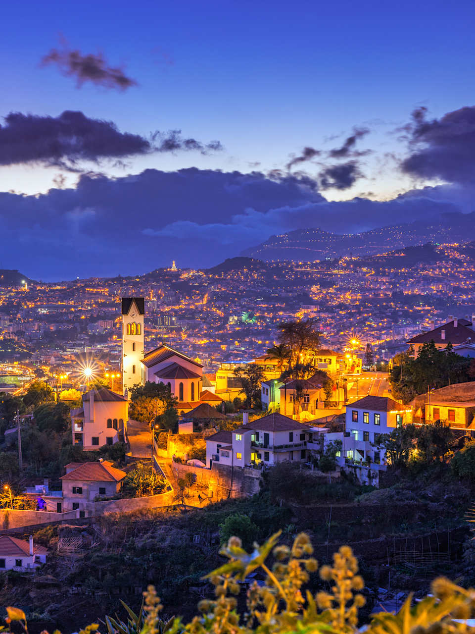 Panorama von Funchal bei Nacht, Madeira © iStock.com/Juergen Sack
