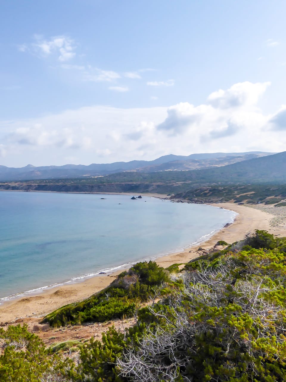 Panoramablick auf die Küste Zyperns mit dem Lara Beach © iStock.com/Christopher Moswitzer