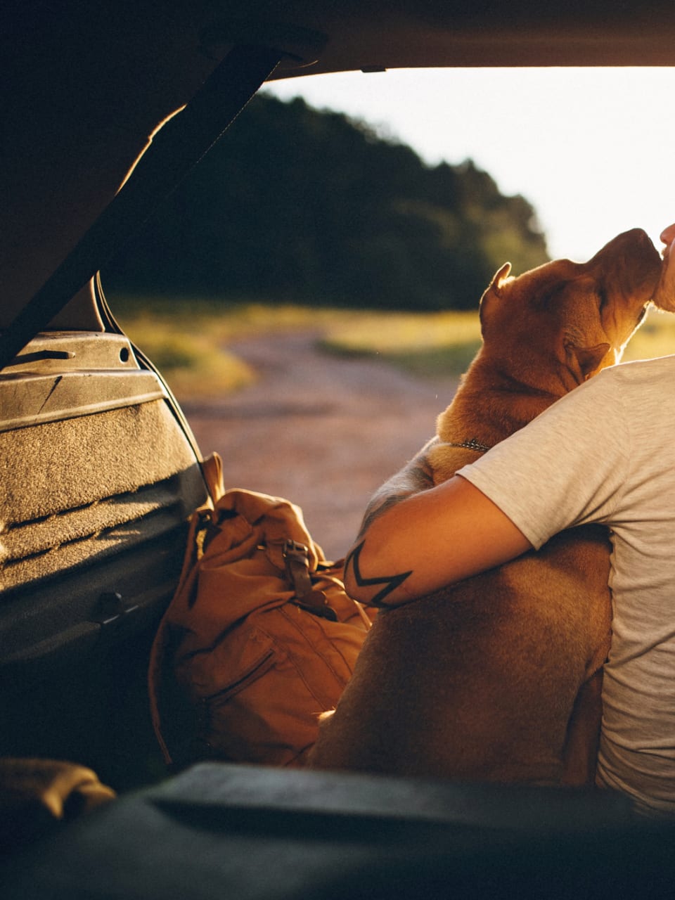 Reisen mit Hund ©PhotoAttractive/E+ via Getty Images