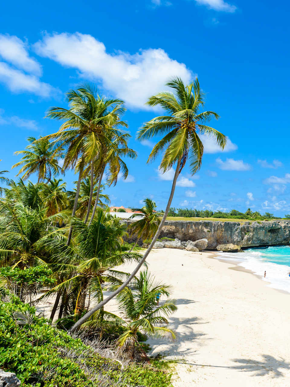 Blaues Meer und weißer Strand auf Barbados © stock.adobe.com - Simon Dannhauer