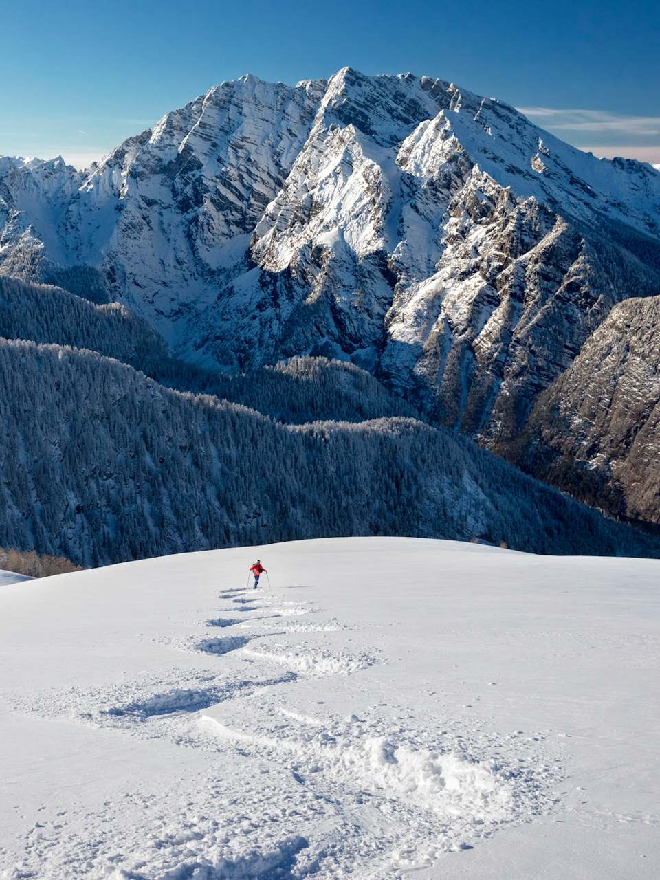 Tiefschneefahren am Watzmann im Nationalpark Berchtesgaden ©iStock.com/DieterMeyrl