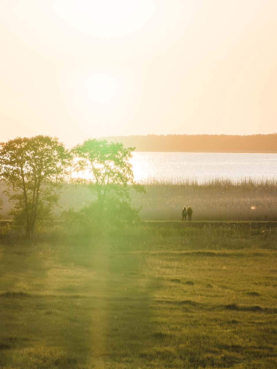 Wandern bei Sonnenaufgang bei Vogelsang-Warsin, Mecklenburg-Vorpommern