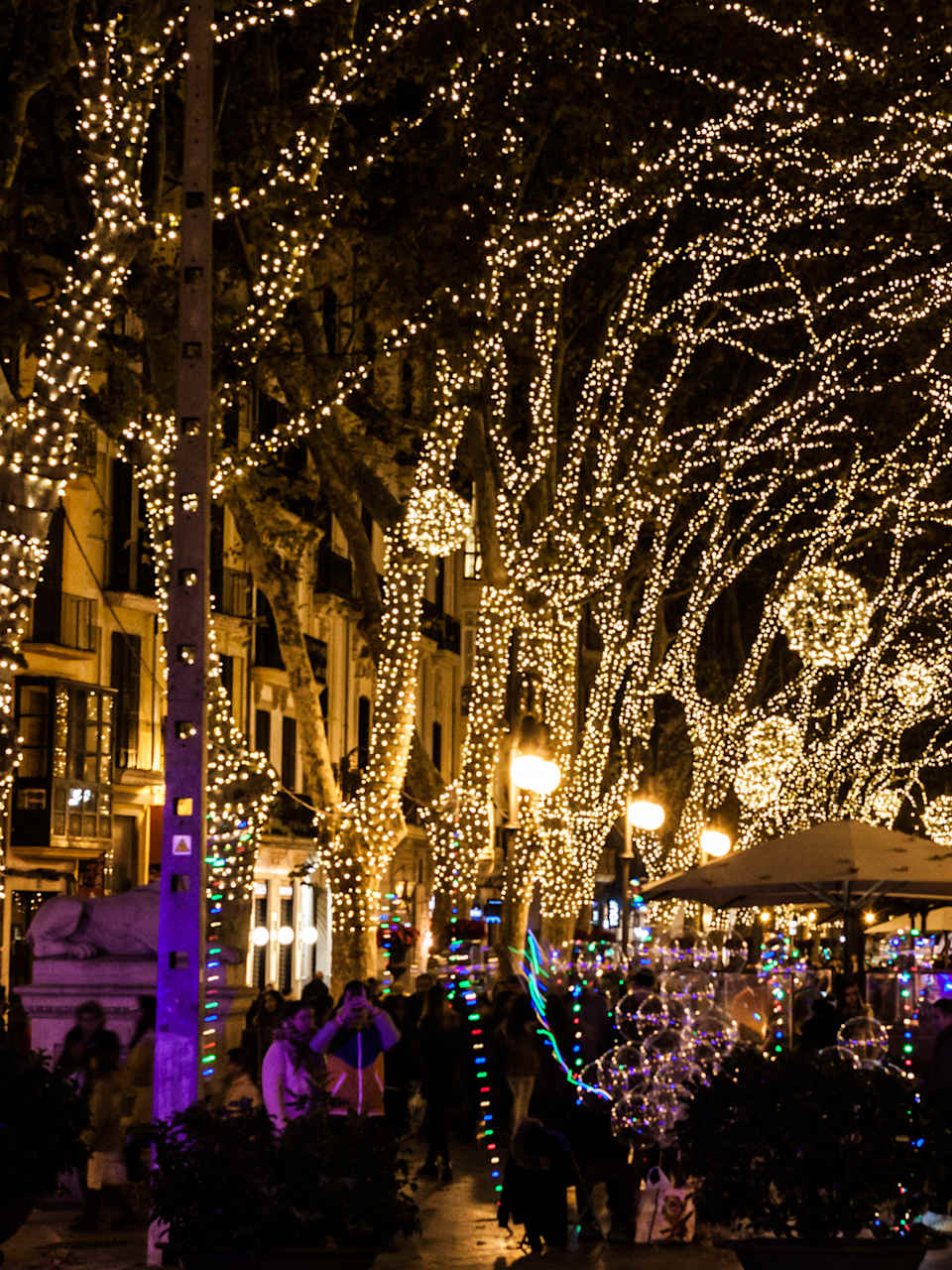 Weihnachtsbeleuchtung am Passeig del Born, Mallorca © iStock.com/Jeanne Emmel
