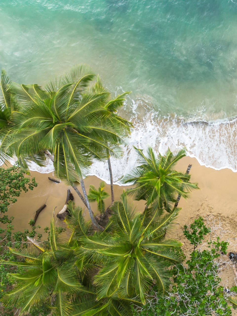 Blick auf den Strand in Puerto Viejo, Costa Rica © Didier Marti/Moment via Getty Images