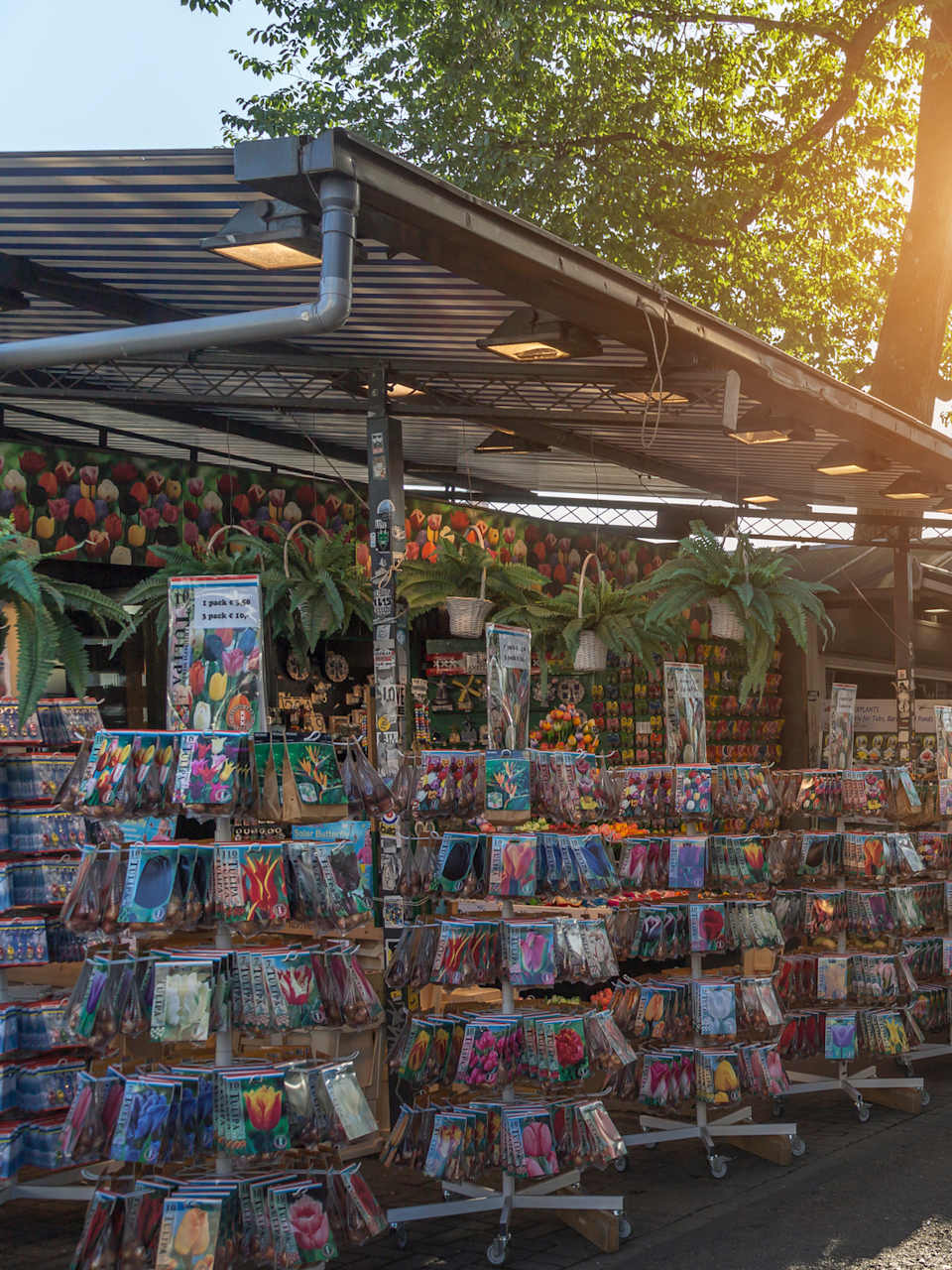 Blumen und Blumensamen an einem großen Marktstand in Amsterdam, Niederlande.