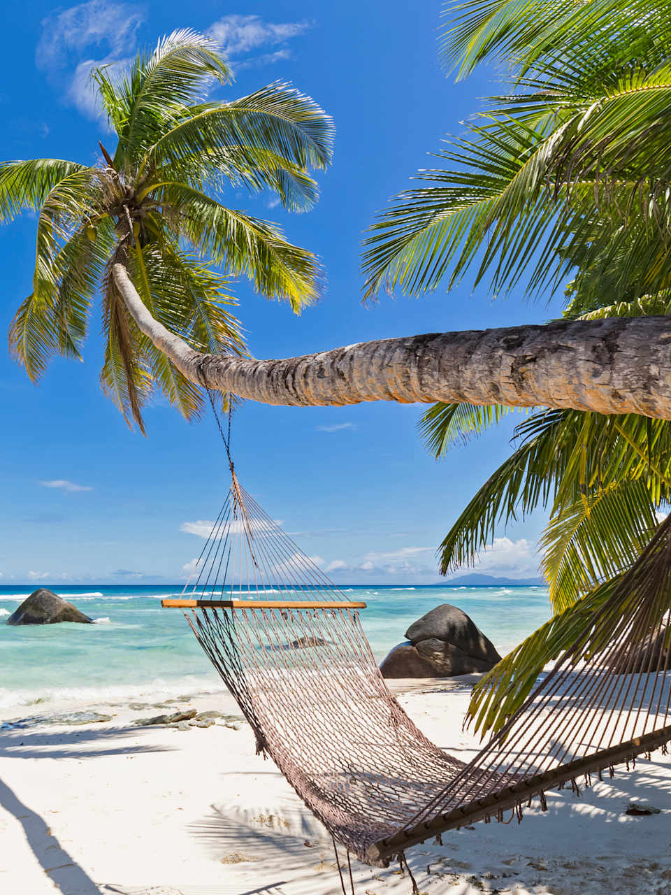 Eine Hängematte an einer Palme am Strand, Seychellen.