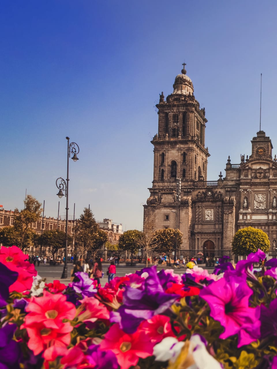 Froschperspektive auf eine Kathedrale vor einem Meer aus Blumen