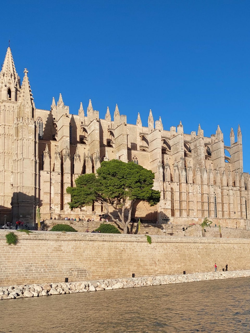 Die  Kathedrale der Heiligen Maria in Palma de Mallorca.