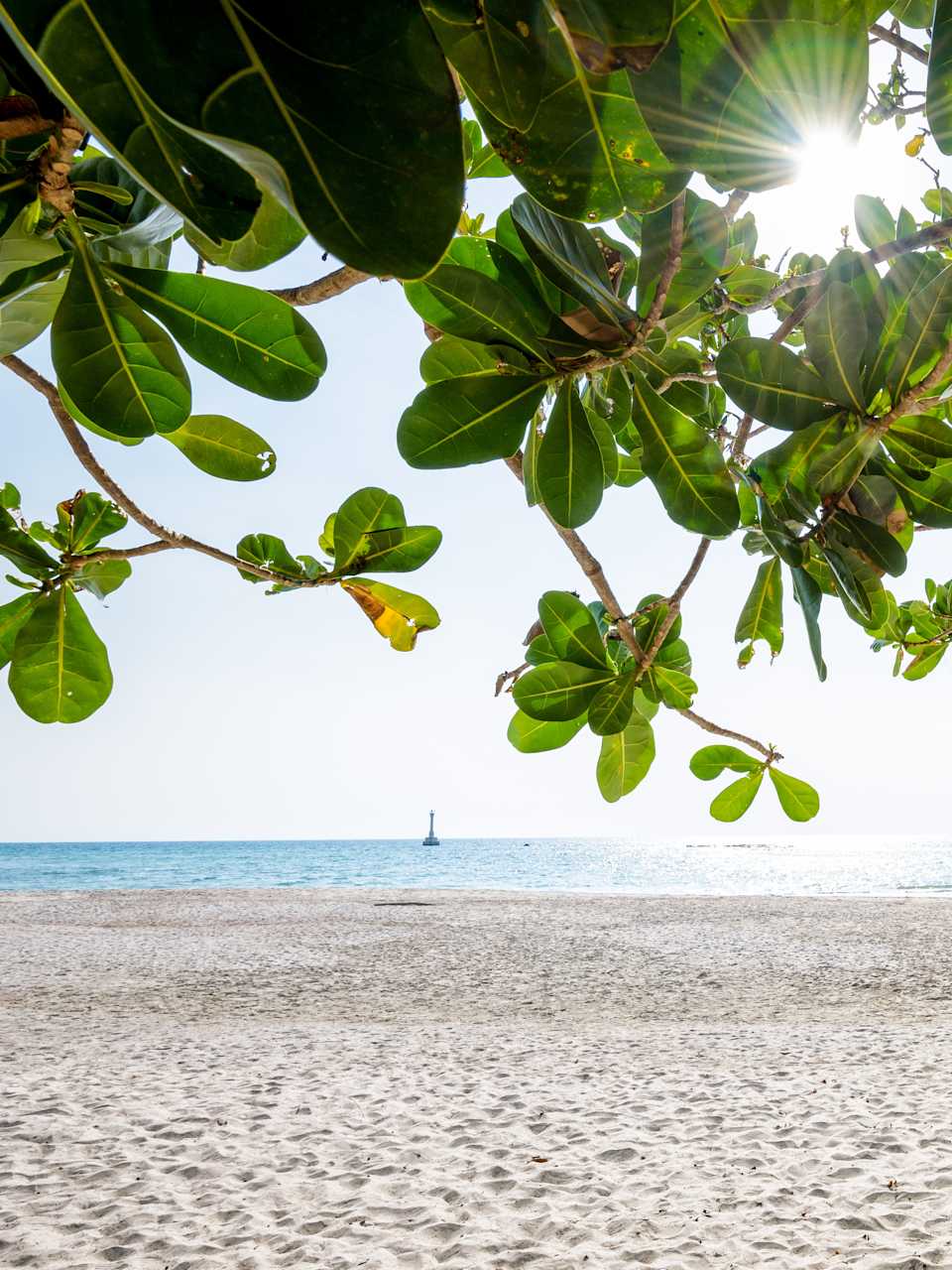 Blick durch die Blätter eines Katappenbaumes auf eine Bucht und Sandstrand