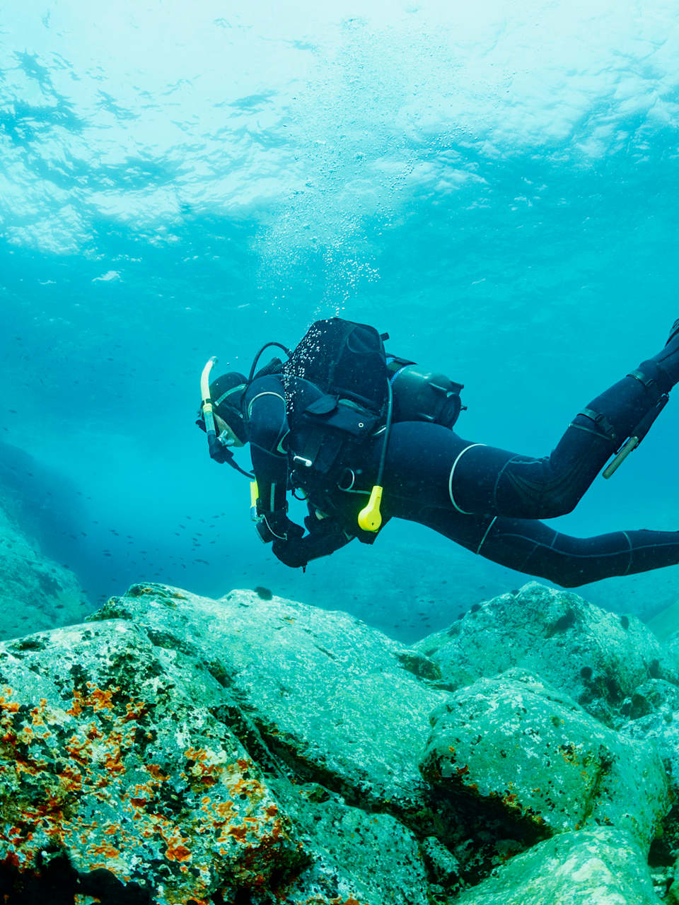 männlicher Taucher genießt blaues flaches Wasser © iStock.com/ultramarinfoto