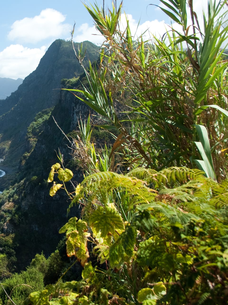 Santana, Madeira, Nordostküste © Adobetsock/Rulan