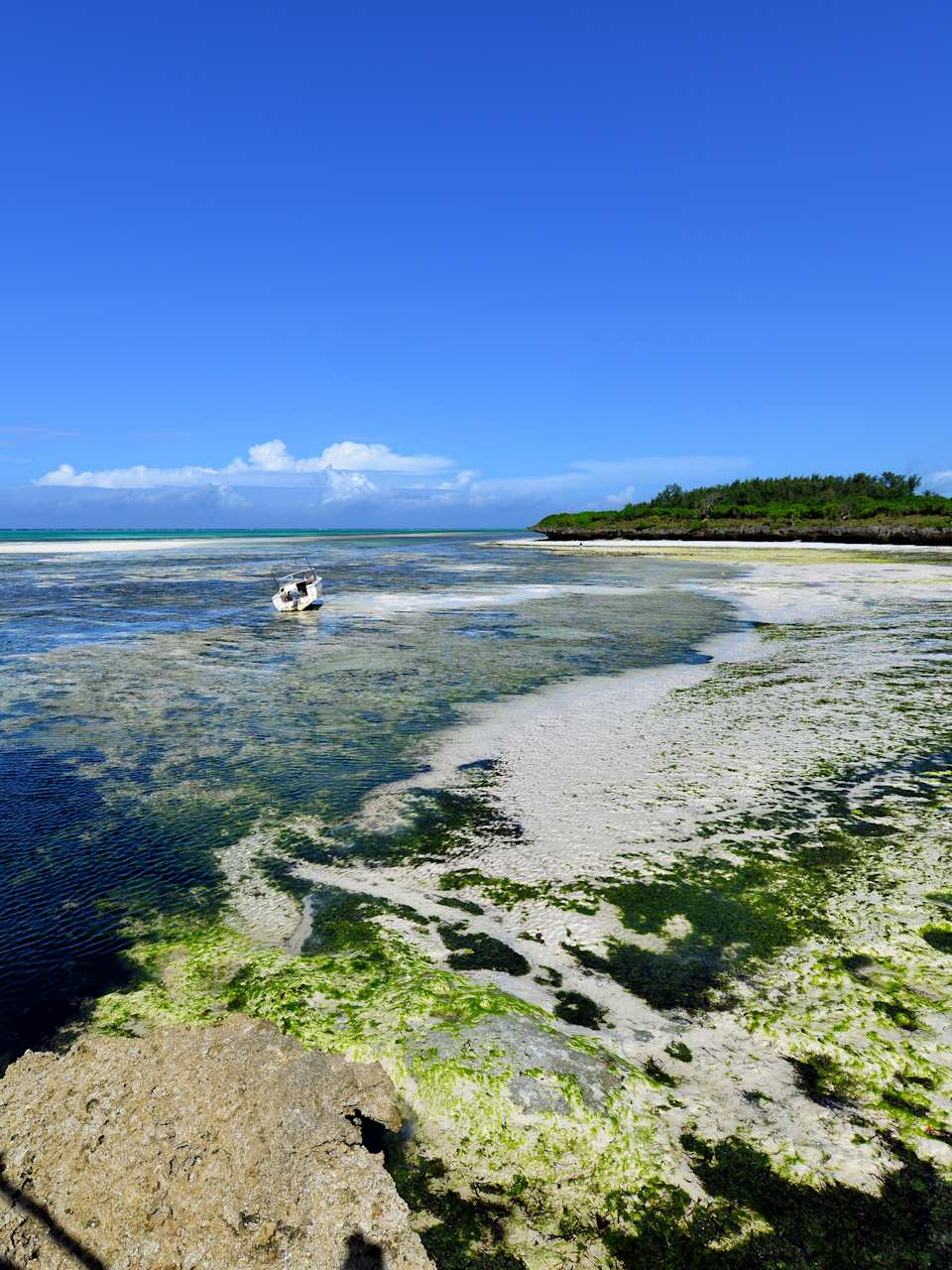 Ein leerer Strand mit einem einzelnen Boot in der Entfernung