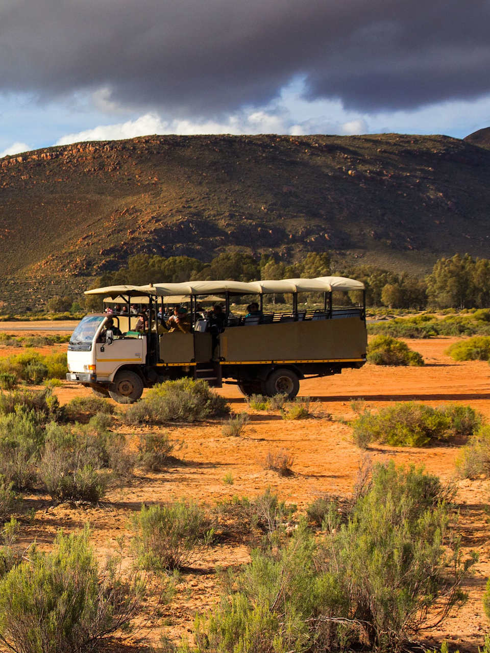 Ein Safari-Fahrzeug steht in der afrikanischen Wildnis mit Touristen, die ein Nashorn beobachten.
