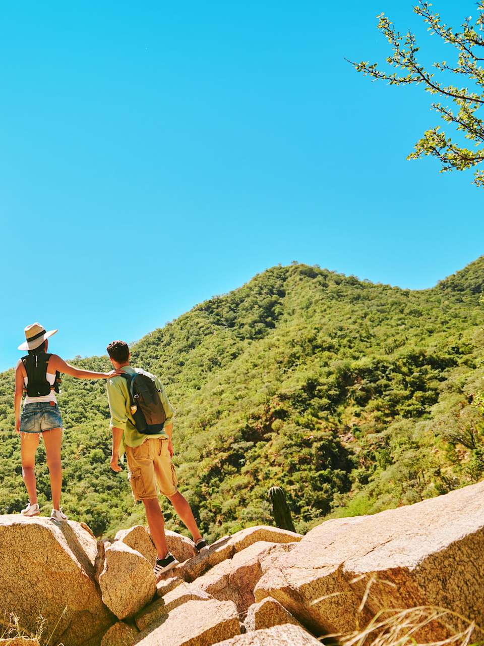 Zwei Wanderer stehen neben einem Kaktus auf einem Felsen.