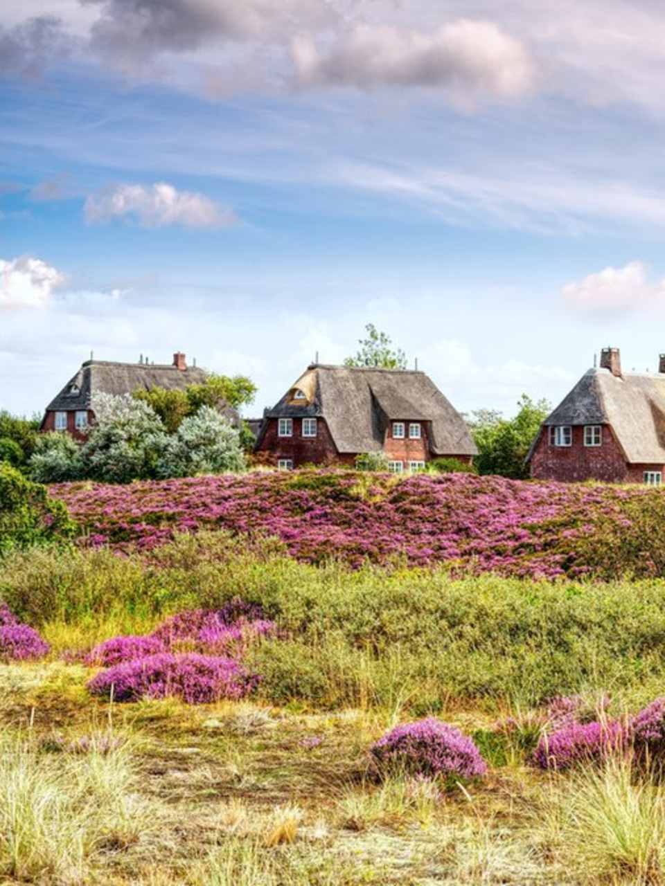 Reetdachhäuser prägen den Charme der Insel Sylt. © K I Photography/Shutterstock.com