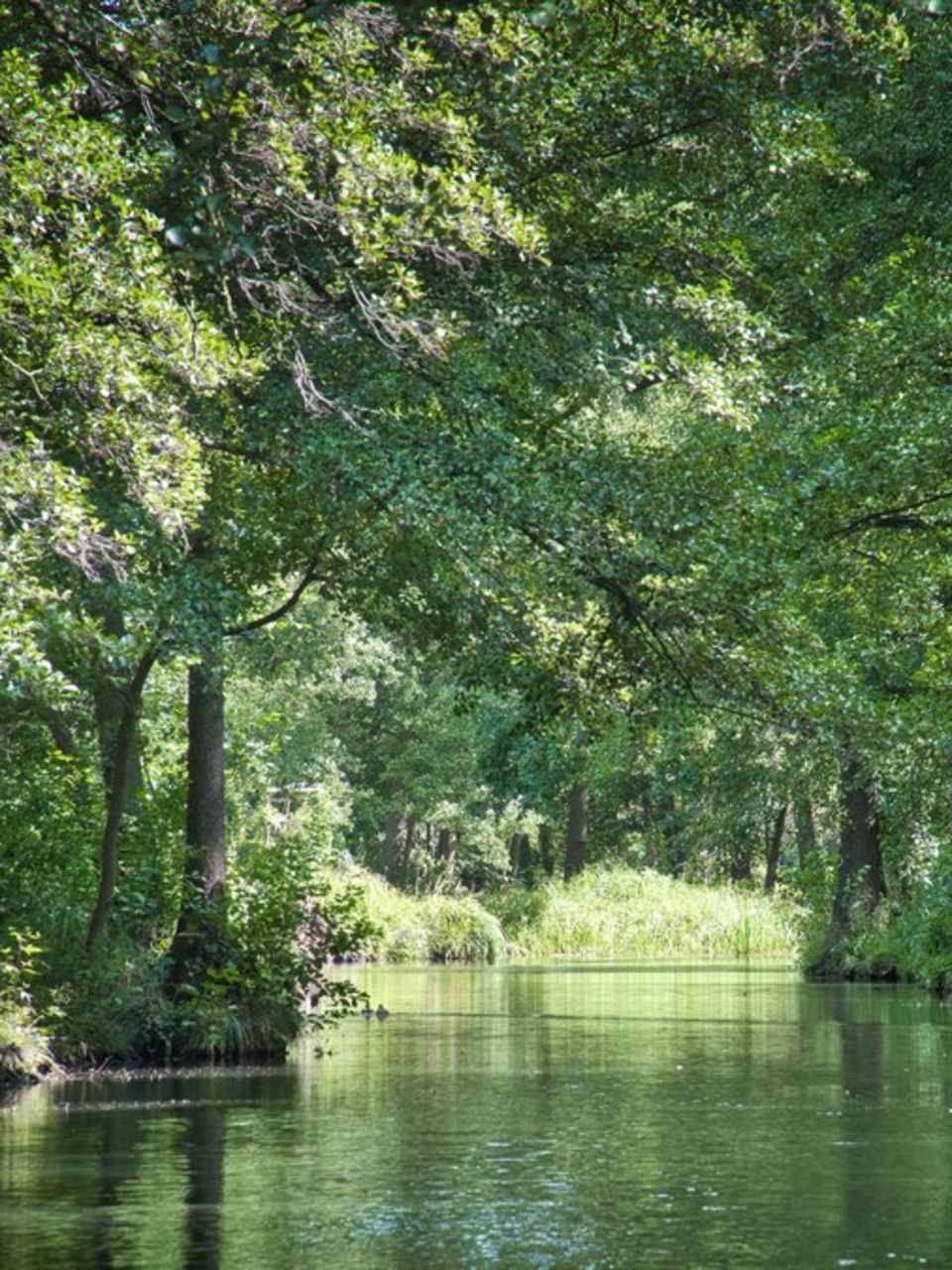 Für die international erfolgreiche Netflix-Serie "Dark" wurde viel in Brandenburg gedreht. © istock/Martin Koebsch