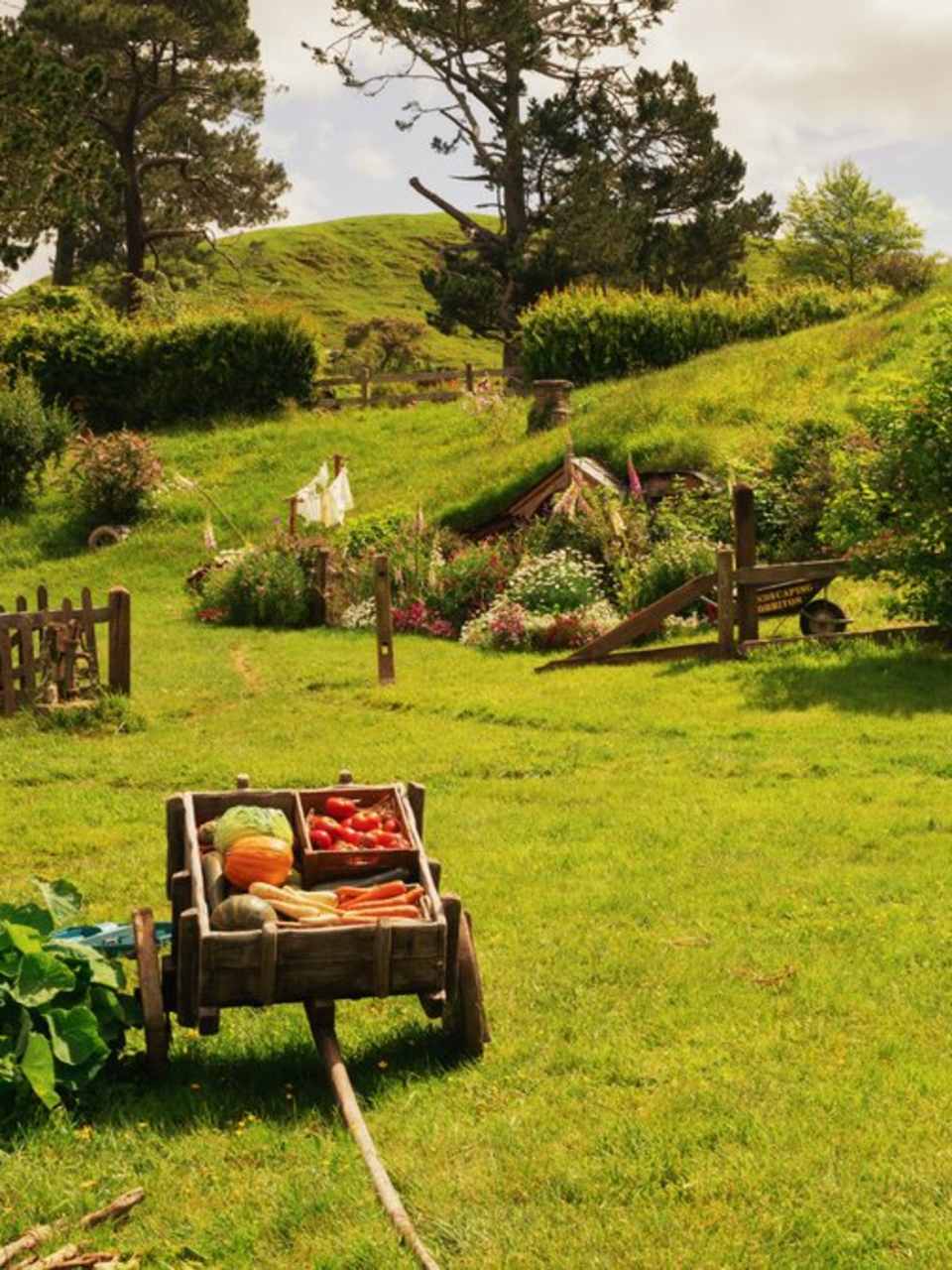 In Neuseeland erwacht vom Auenland bis Mordor ganz Mittelerde zum Leben. © istock/RyanZW