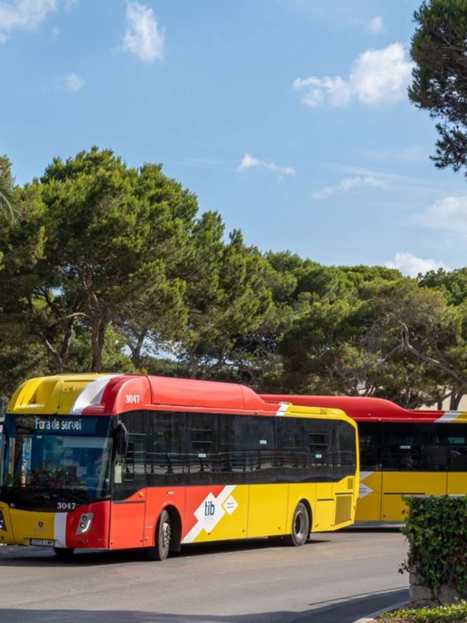TIB-Busse fahren regelmäßig über die ganze Insel. © Neme Jimenez/iStock