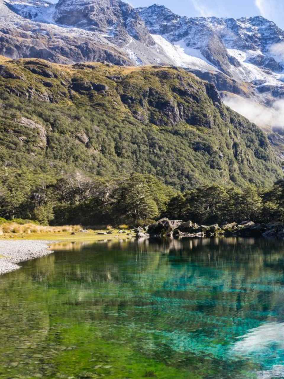 Der Blue Lake in Neuseeland gehört zu den klarsten Seen der Welt. © Mi-chi/Shutterstock.com