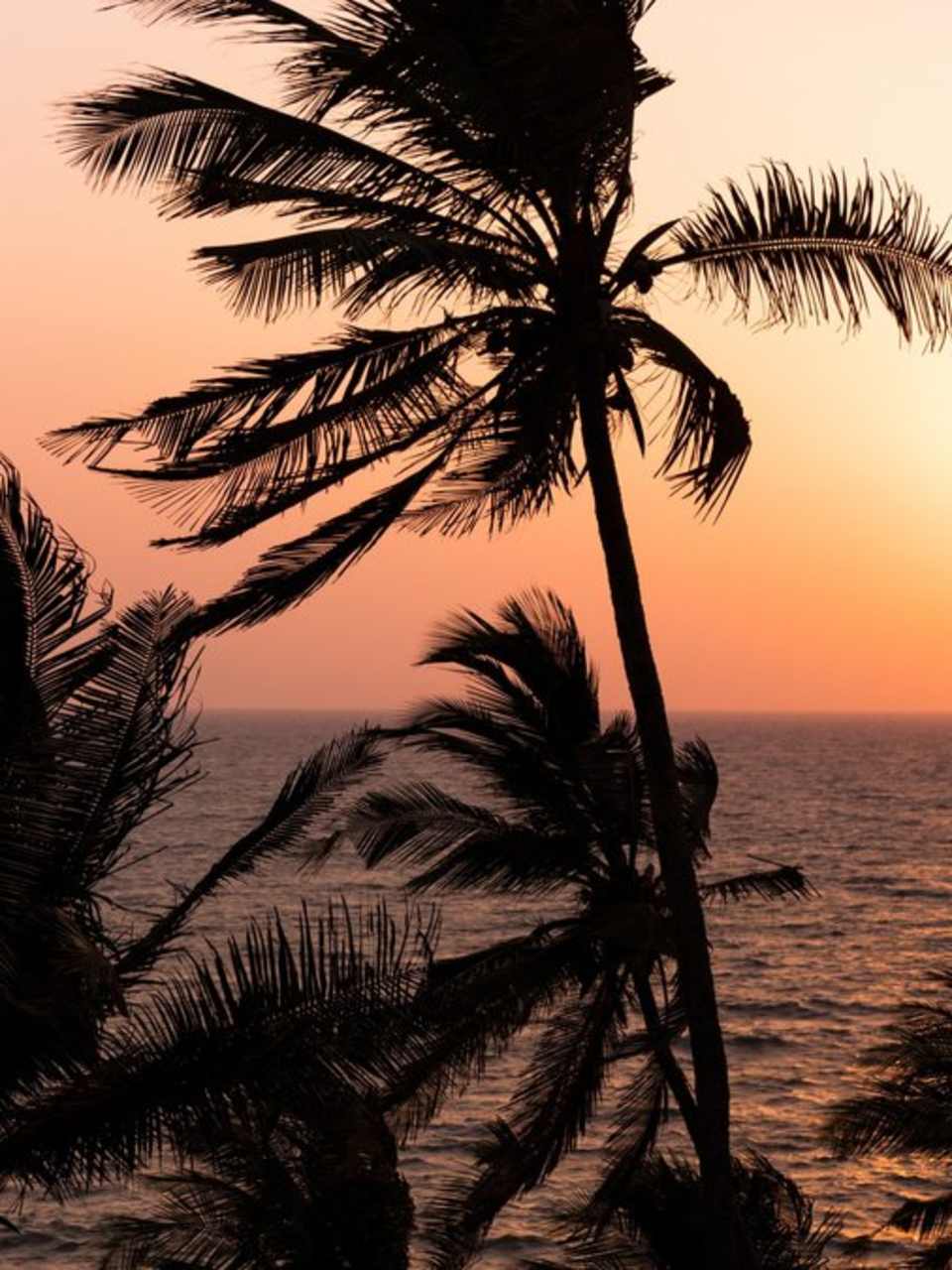 An den Stränden von Goa kannst Du Deine Seele besonders gut baumeln lassen. © Shutterstock.com/ zstock
