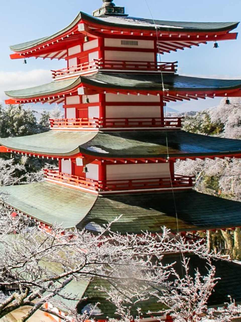 Japans Winterzauber ist eine Reise wert. © Byjeng/Shutterstock.com