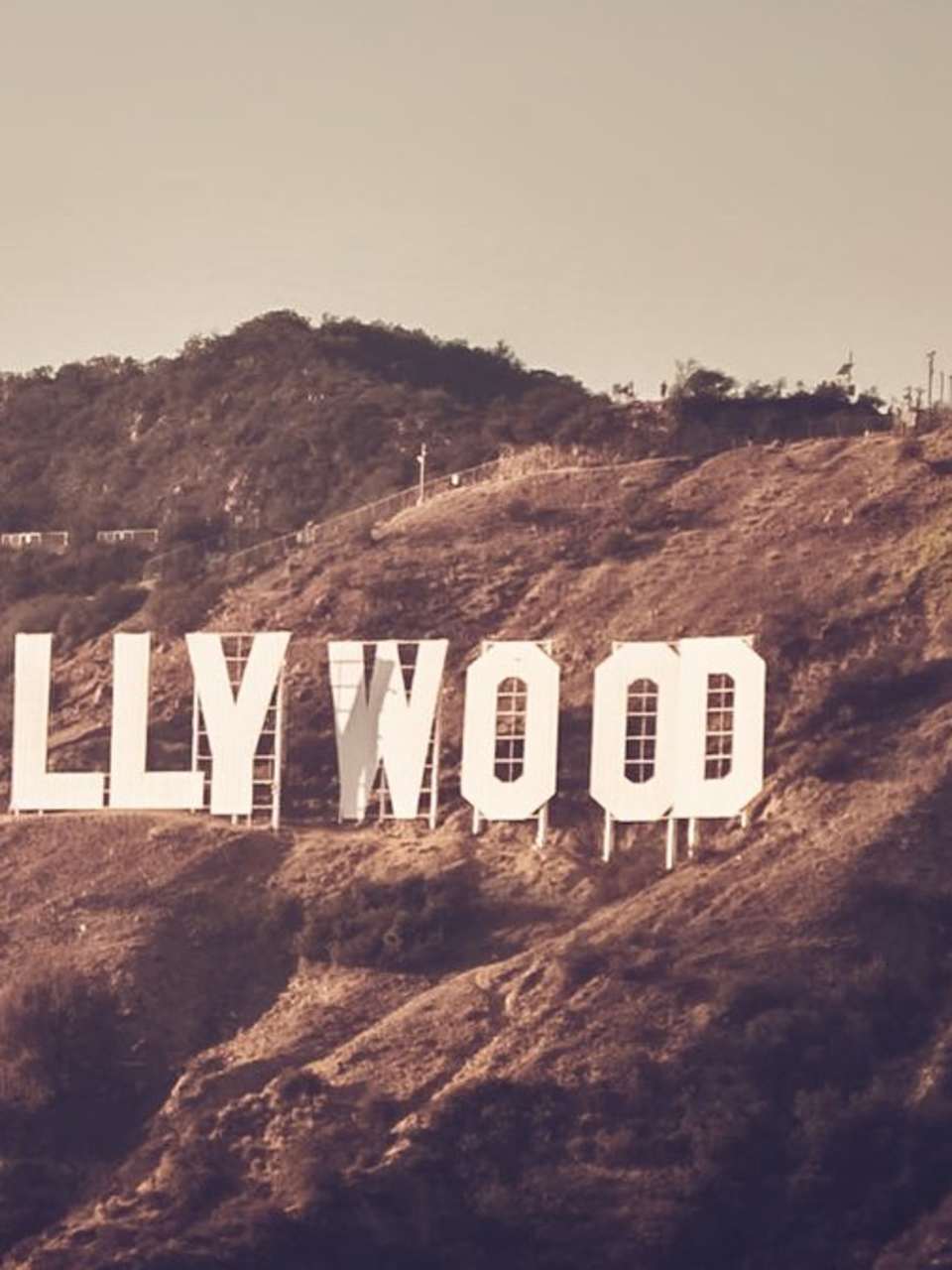 Der Schriftzug in den Hollywood Hills ist weltberühmt. © BCFC/Shutterstock.com