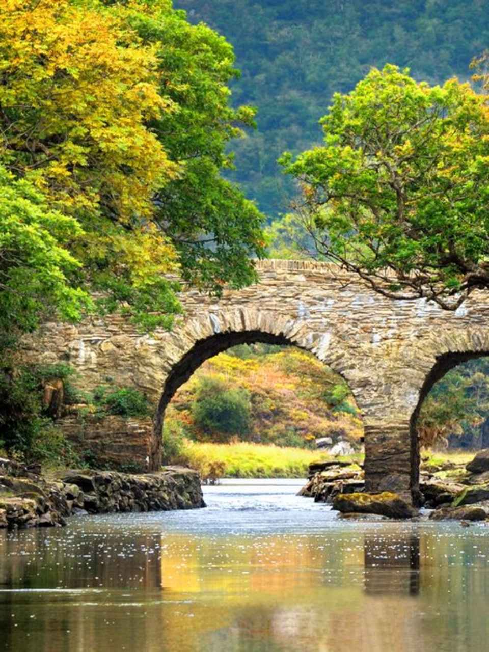 Die Wurzeln von Halloween sind unter anderem in Irland zu finden. © Jan Miko/Shutterstock.com
