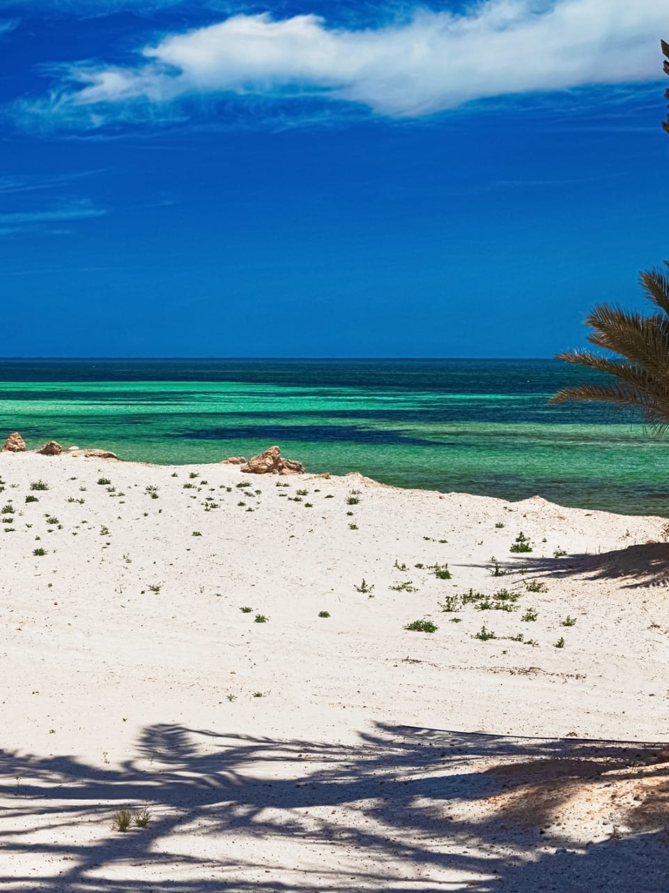 Strand mit weißem Sand auf der Insel Djerba, Tunesien