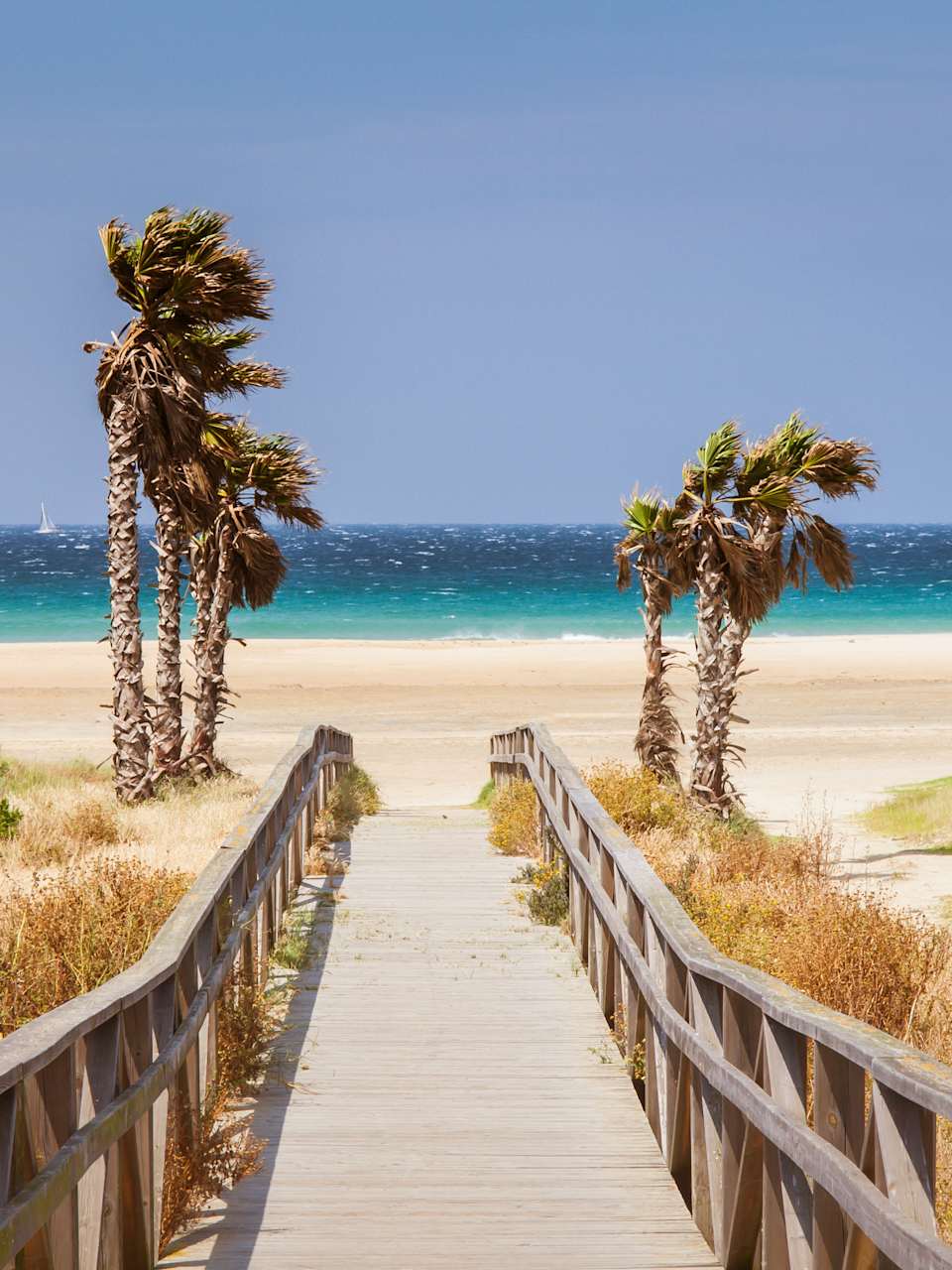 Tarifa an der Costa de la Luz, Spanien © stock.adobe.com - Algecireño