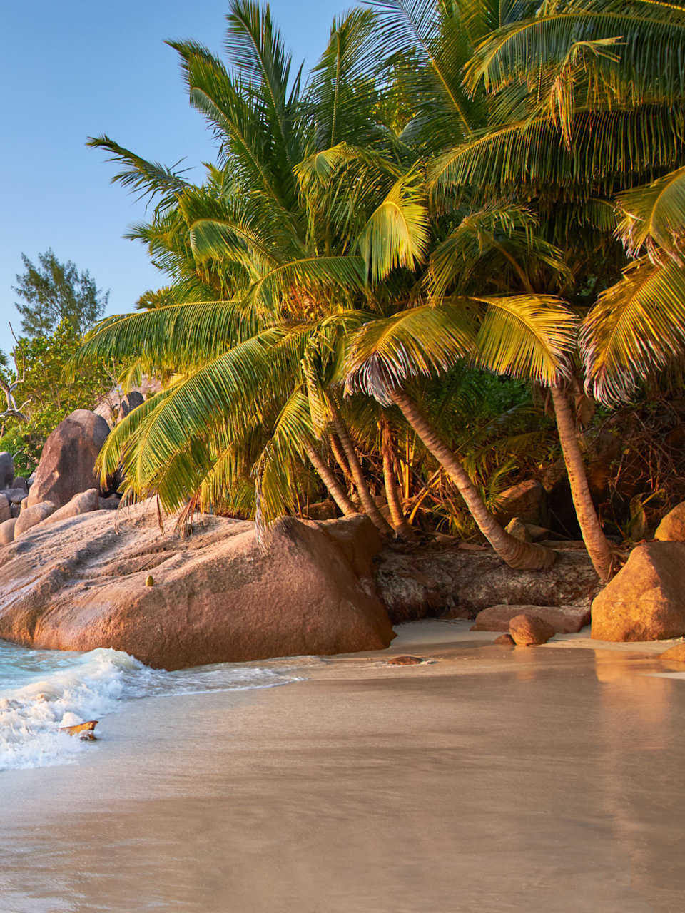 Anse Lazio, Seychellen, Afrika © stock.adobe.com - Michael Stumpf