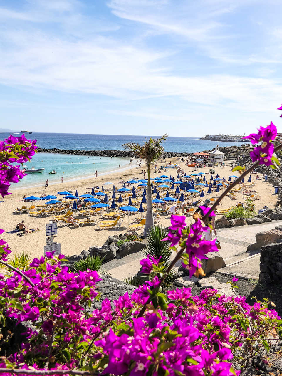 Blick durch violette Blumen auf den Strand von Playa Blanca auf Lanzarote