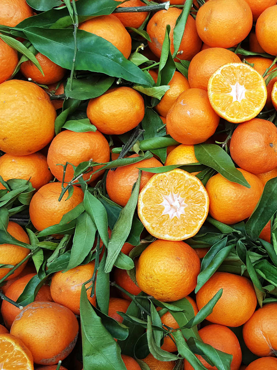 Orangen