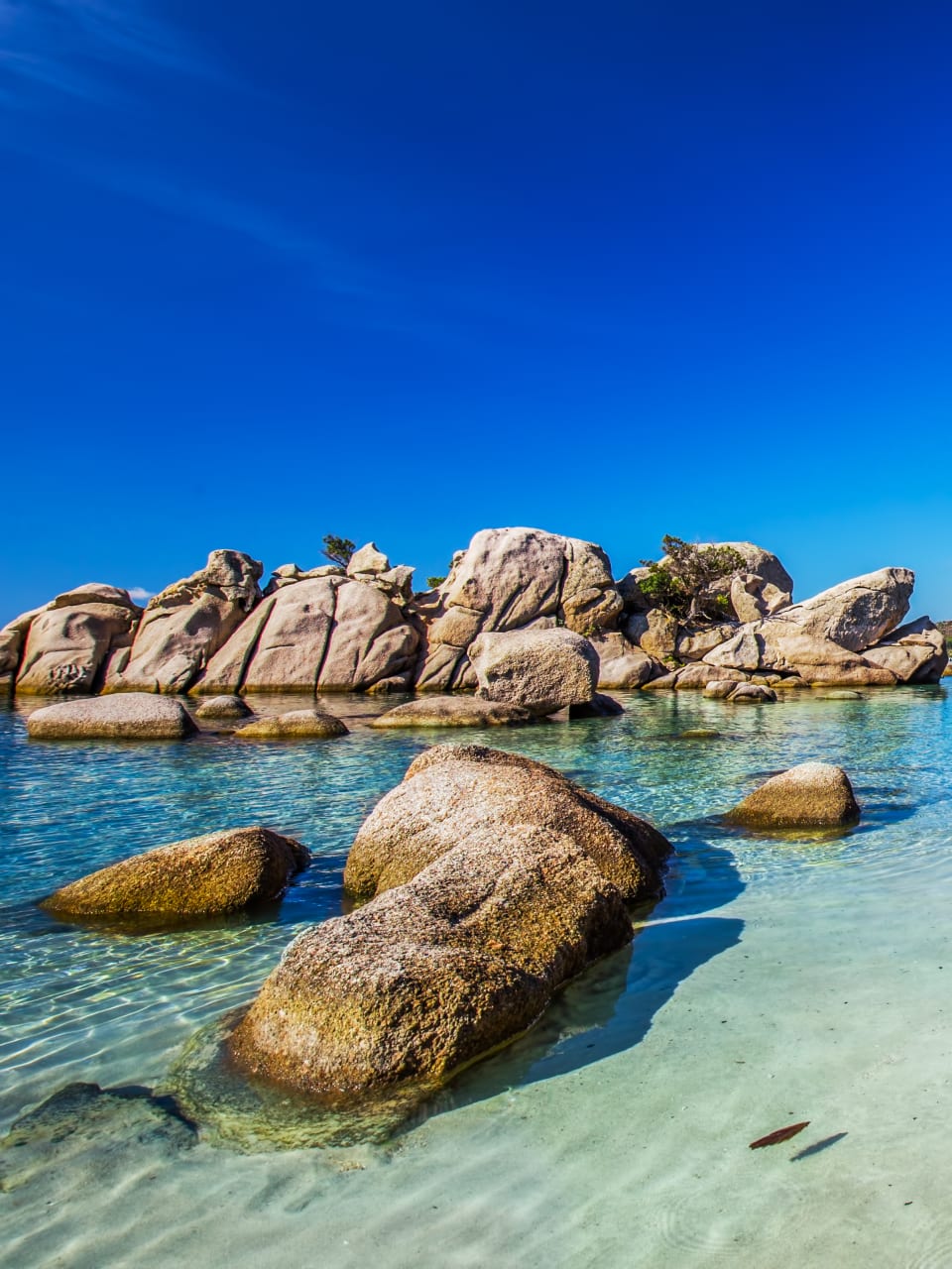 Karibisches Flair am Mittelmeer genießen – das geht etwa an Korsikas Plage Palombaggia © shutterstock.com - Eva Bocek