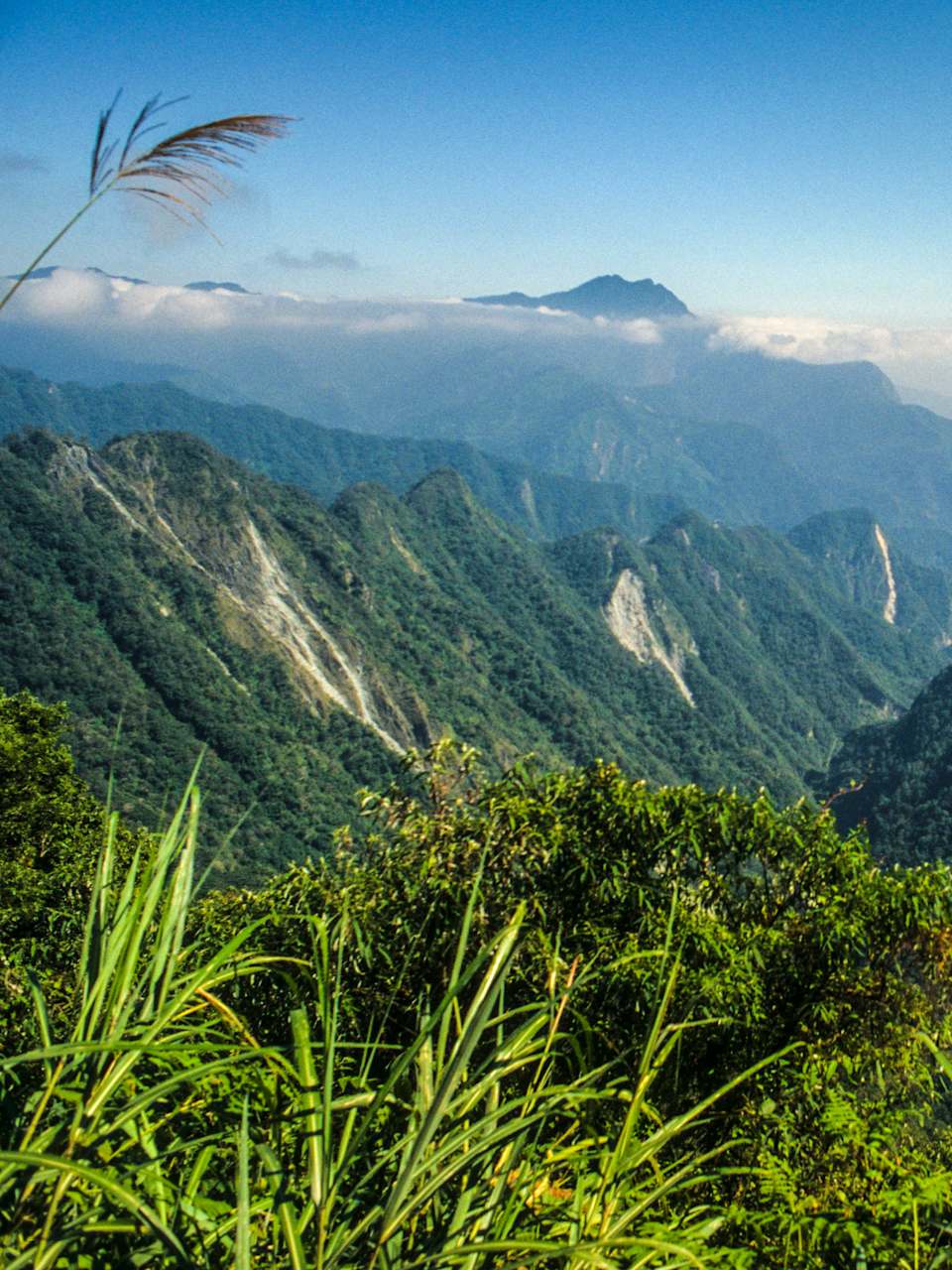 Yu-Shan-Nationalpark, Taiwan