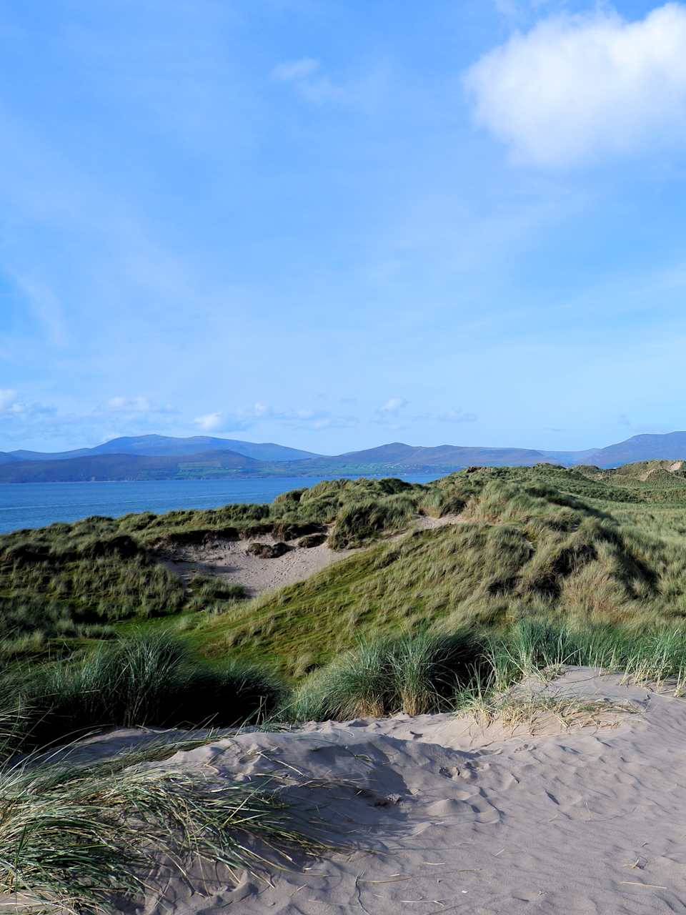 Inch Beach Dunes © Kevin Schmidli