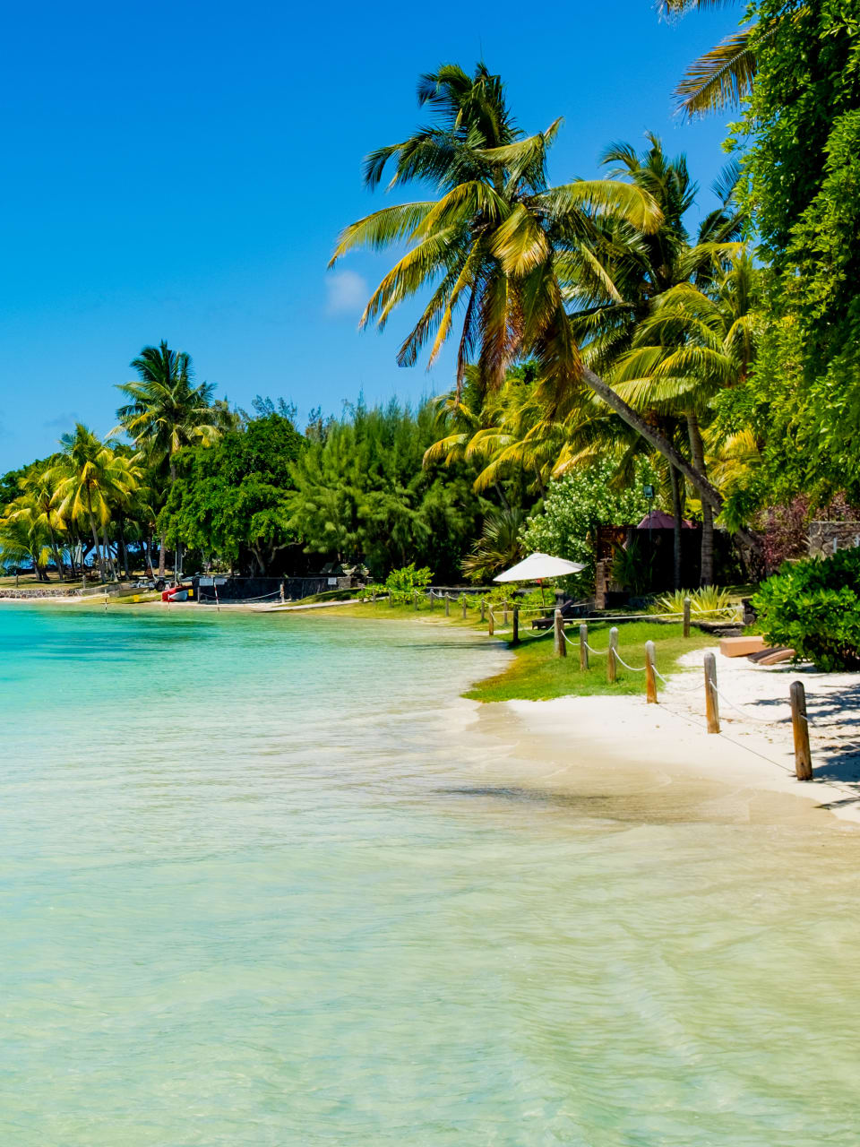Ein Strand voller Palmen