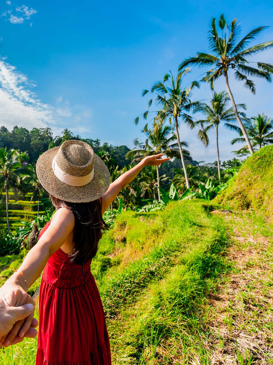 Pärchen betrachtet die Tegalala Reisterrasse von oben, Bali, Indonesien © Shutterstock - kitzcorner