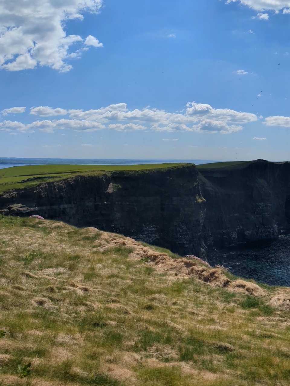 Cliffs of Moher, Irland