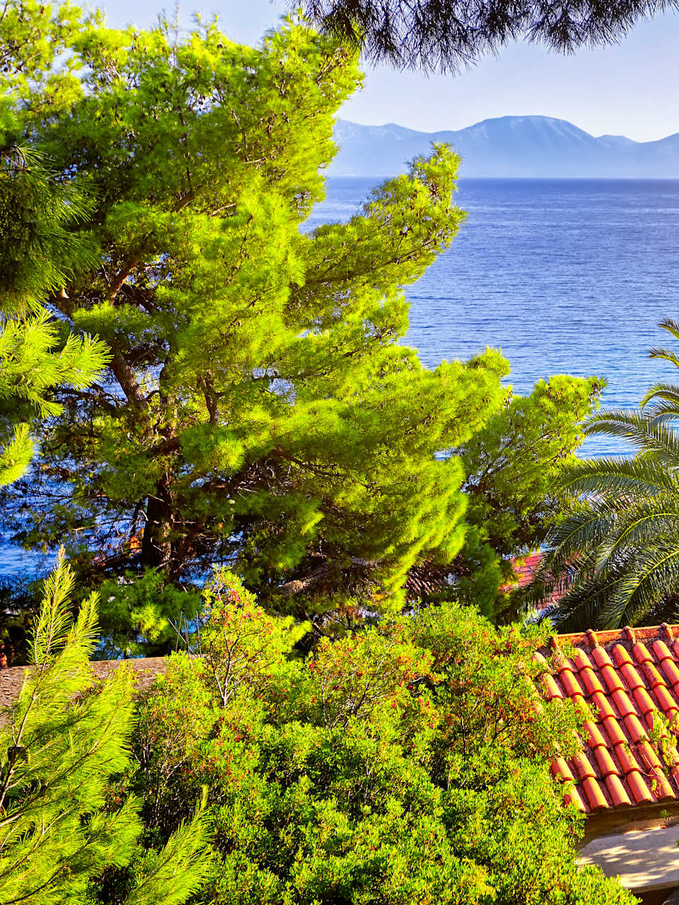 Dubrovnik, Dalmatien, Kroatien © Shutterstock - Ihor Pasternak